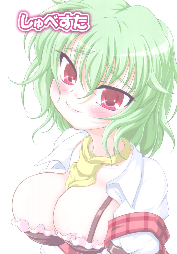 (C81) [しゅべすた (稲咲しらう)] ろーりん35 (東方Project)