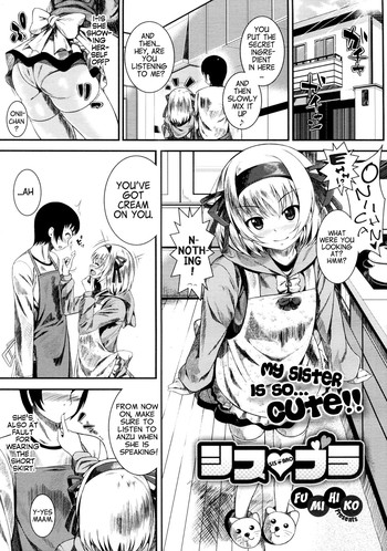 [ふみひこ] シス・ブラ (COMIC メガストア 2012年8月号) [英訳]