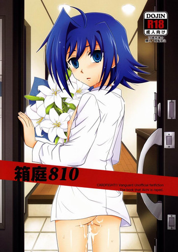 (SPARK7) [裏ウレタン (明誠助)] 箱庭810 (カードファイト!! ヴァンガード)