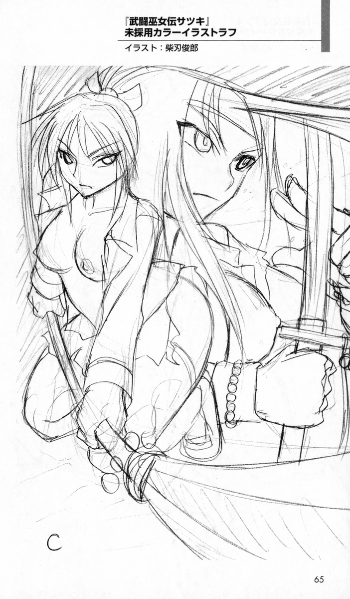 [アンソロジー] 秘蔵イラスト集 (二次元ドリームノベルズ100 記念特典)