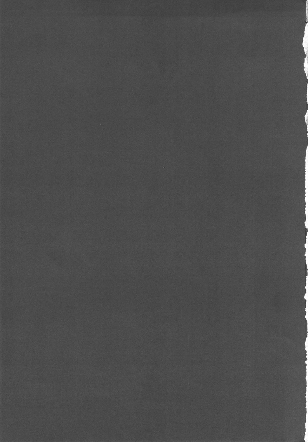 (C82) [ようかい玉の輿 (CHIRO)] ビア○カの腋 (ドラゴンクエストV)