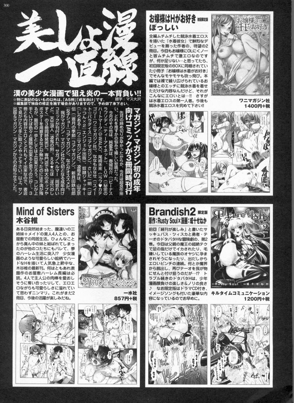 BugBug 2009年3月号 VOL.175