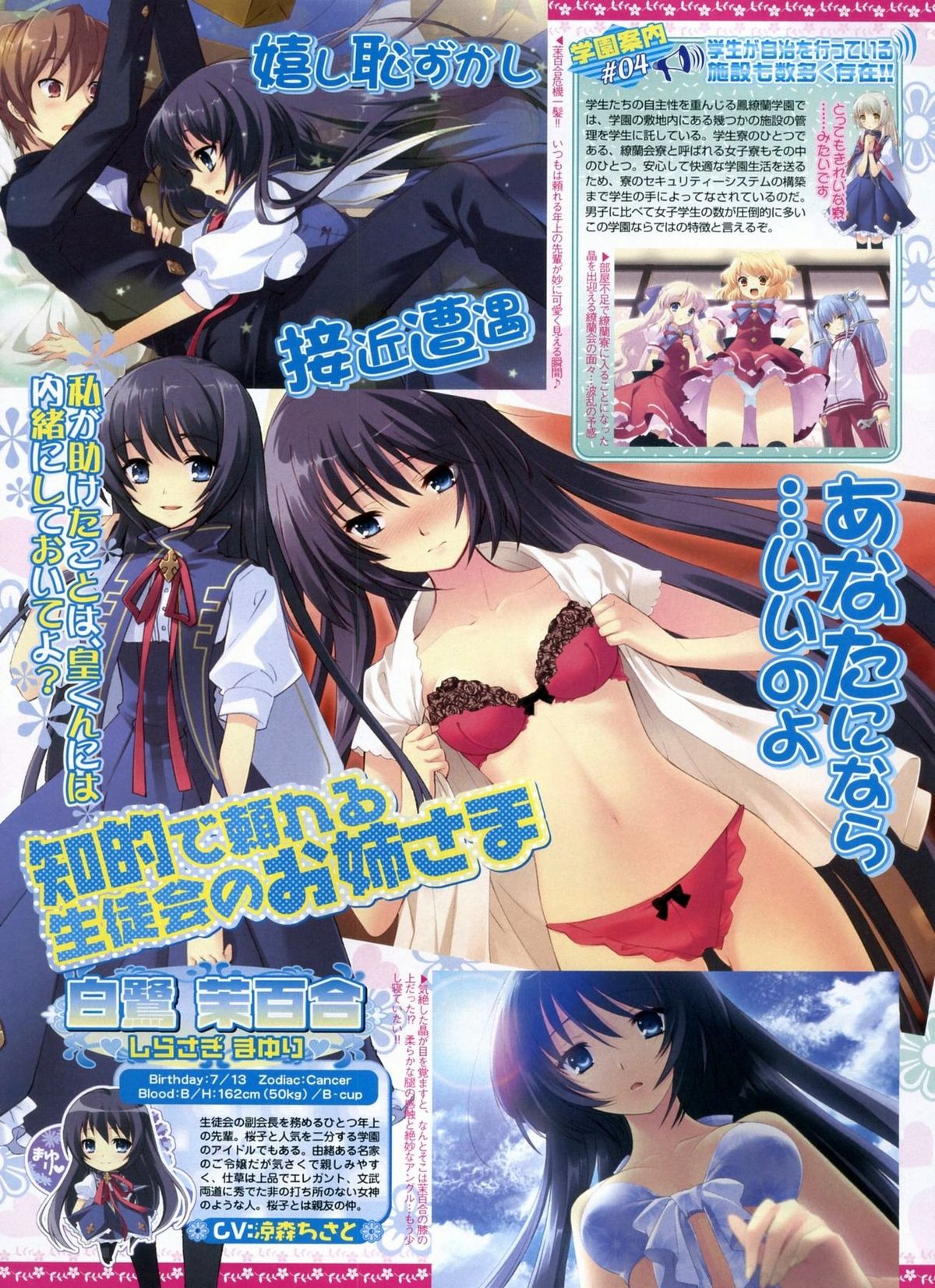 BugBug 2009年3月号 VOL.175