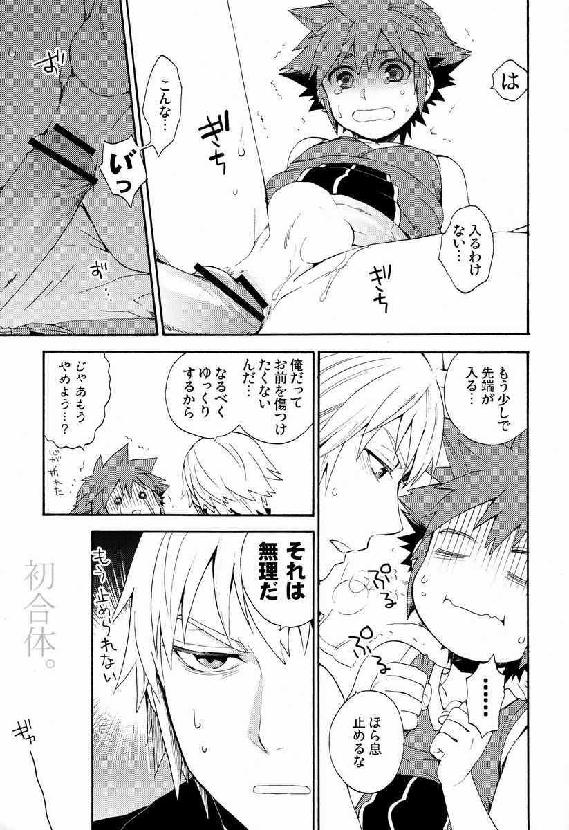 (C82) [Ssize (Sam)] First Session (キングダム ハ－ツ)