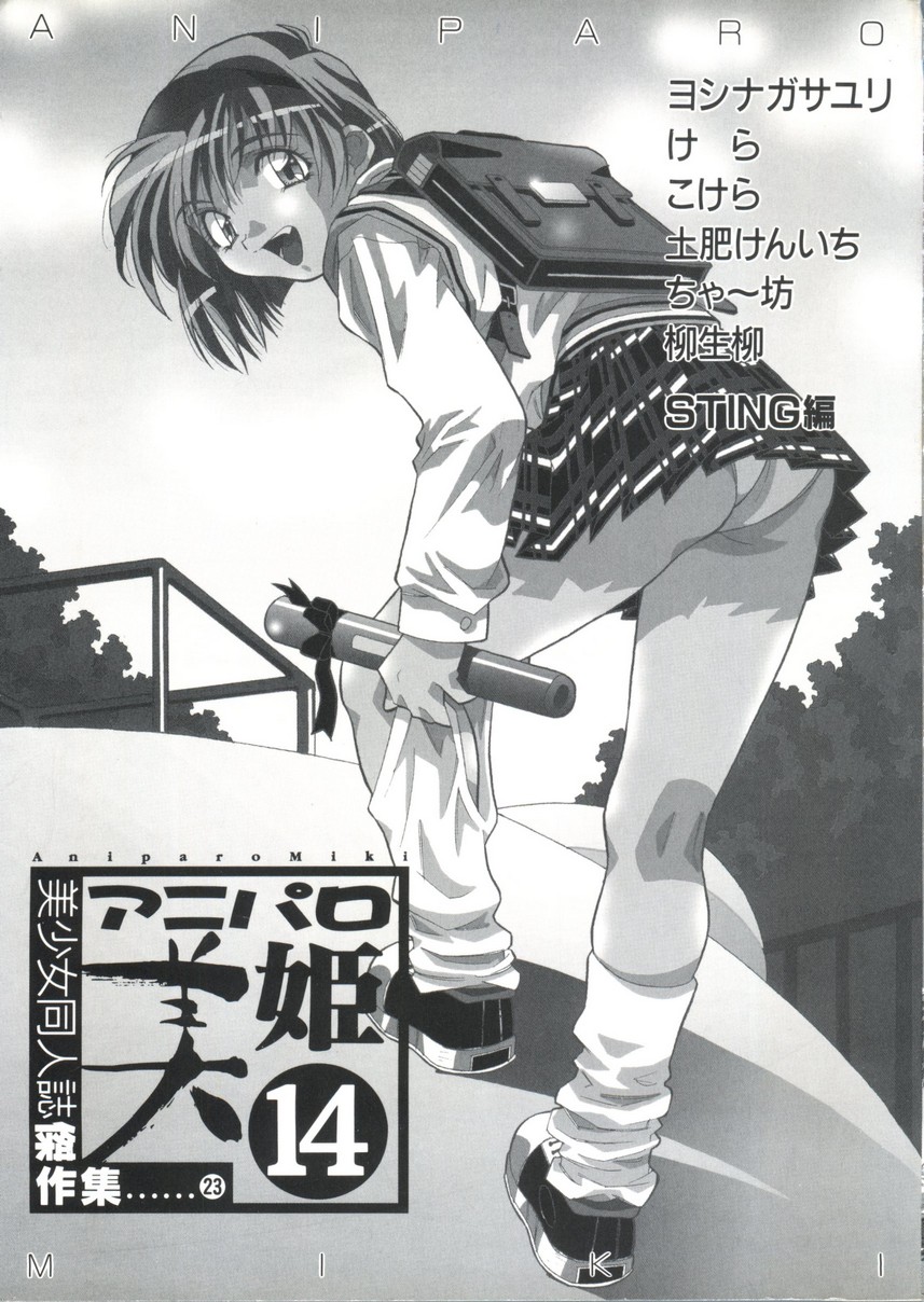 [アンソロジー] アニパロ美姫14 (よろず)
