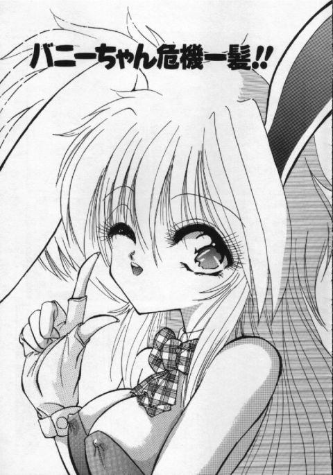 [葉月獅子丸] がんばれバニーちゃん