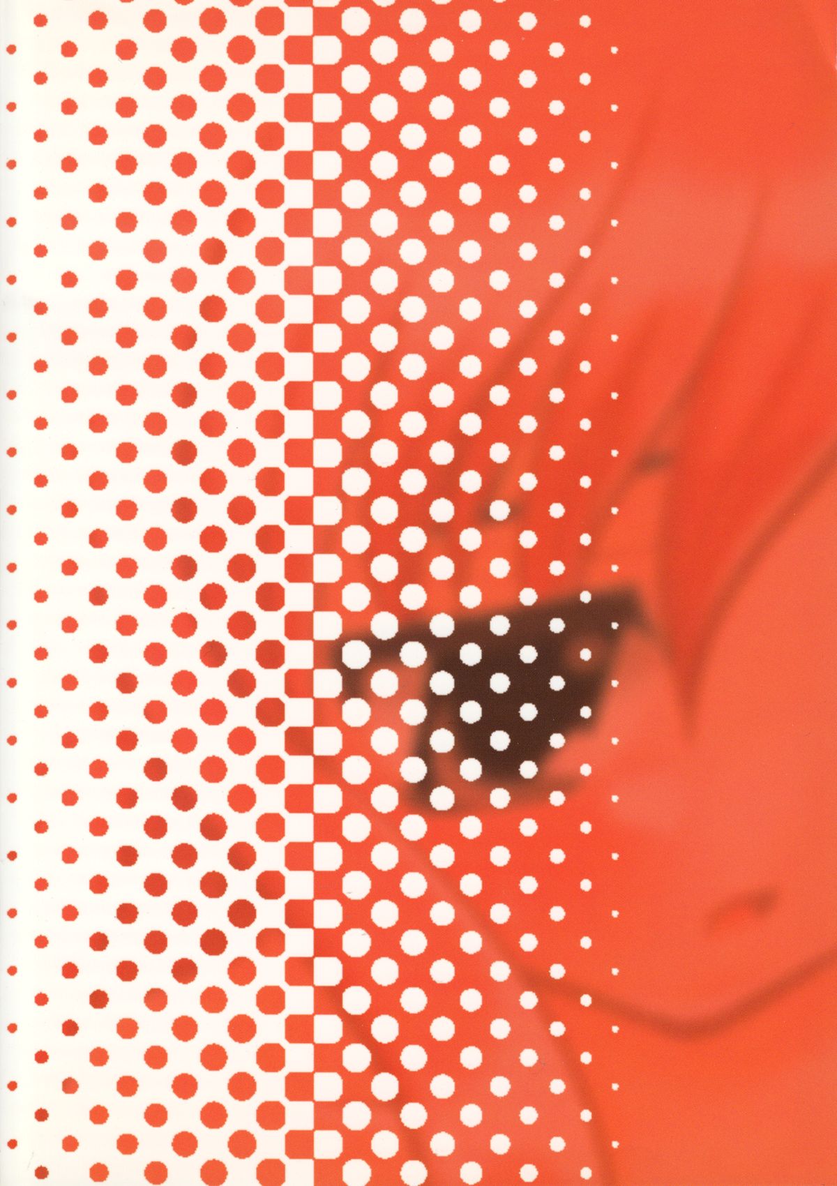 [ナギヤマスギ (那岐山)] ルイズ縛 (ゼロの使い魔)