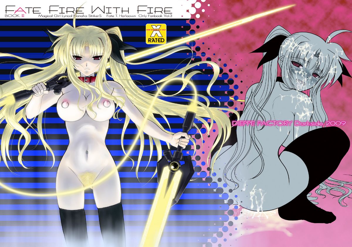 [DIEPPE FACTORY Darkside (あるぴ～ぬ)] FATE FIRE WITH FIRE Book. III (魔法少女リリカルなのは)