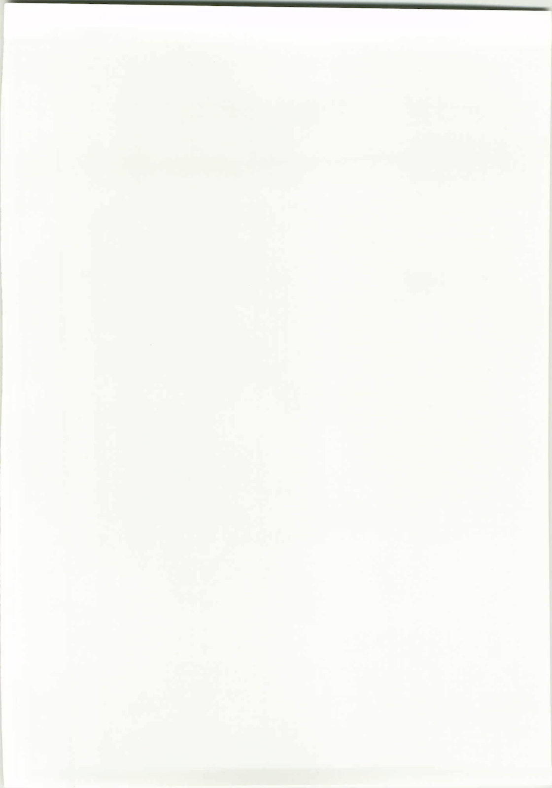 (C78) [雲丹屋 (東雲龍)] 魔理沙とキノコと鬼畜な巫女 (東方 Project)