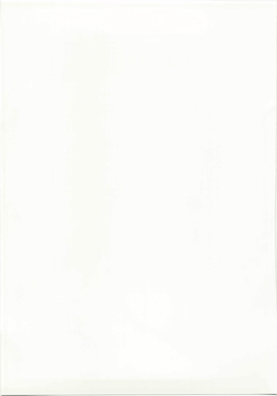 (C78) [雲丹屋 (東雲龍)] 魔理沙とキノコと鬼畜な巫女 (東方 Project)