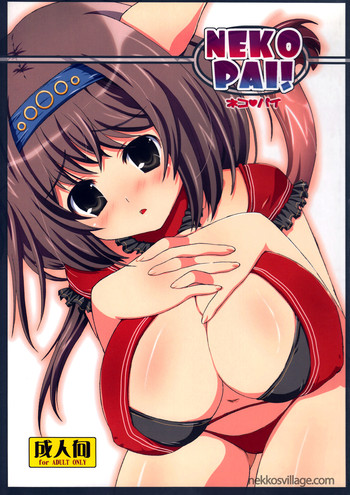 (C72) [AZA+ (よしむね)] NEKOPAI! (ファイナルファンタジー XI) [英訳]