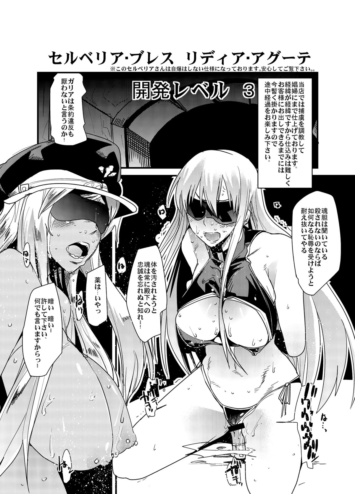 [ブロンコ一人旅 (内々けやき)] ガリア風俗隊 (戦場のヴァルキュリア3) [DL版]