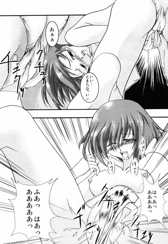 [FAKESTAR (美春)] ロザリオと薔薇 改訂版 (ノワール)