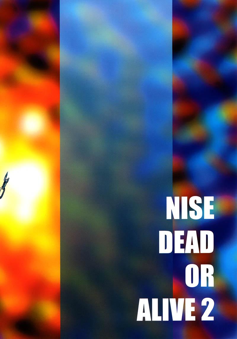 (C60) [[LTM. (たいらはじめ)] NISE DEAD OR ALIVE 2 (デッド・オア・アライヴ)