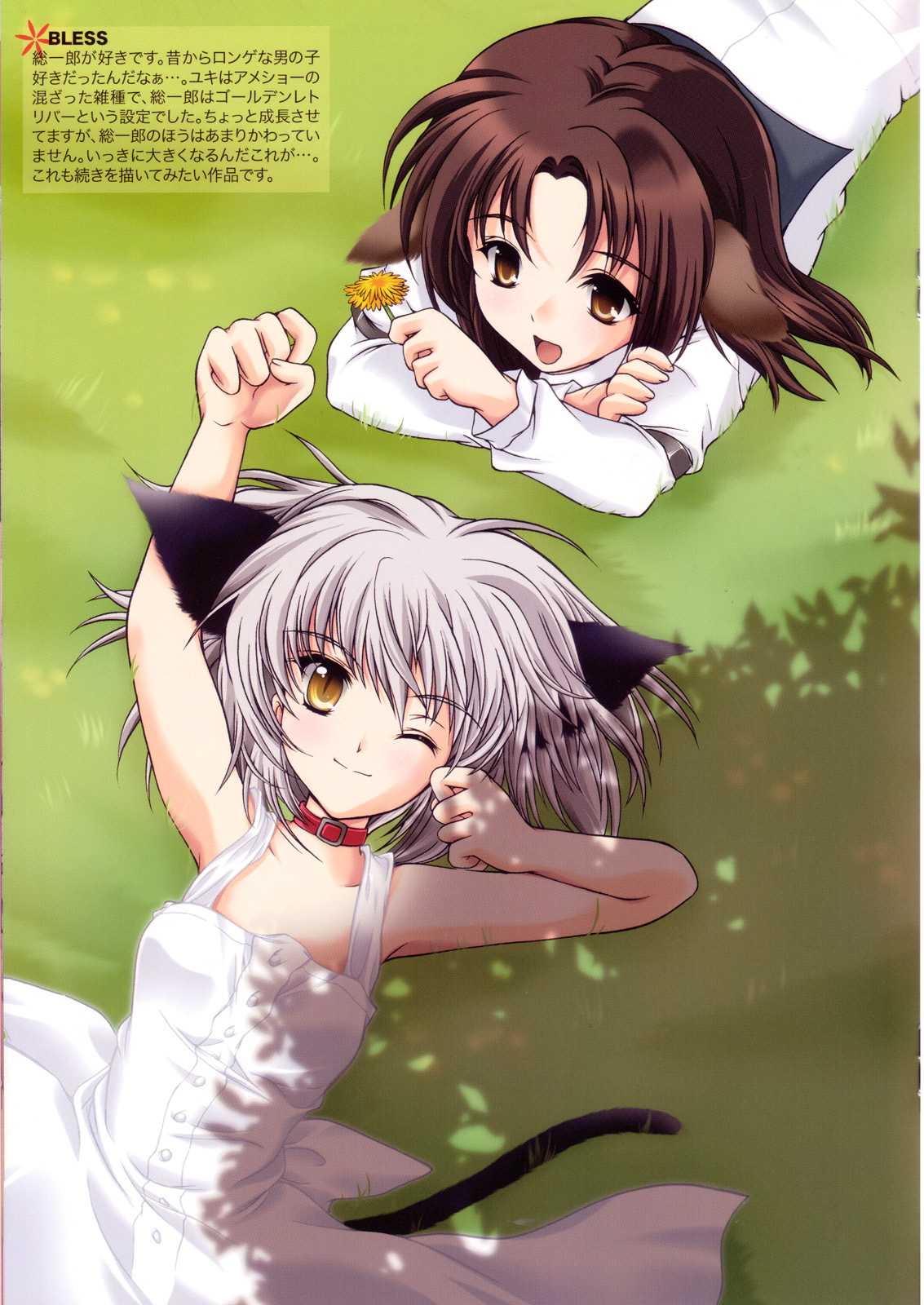 【ハイリスクレボリューション】カラフルスイーツ