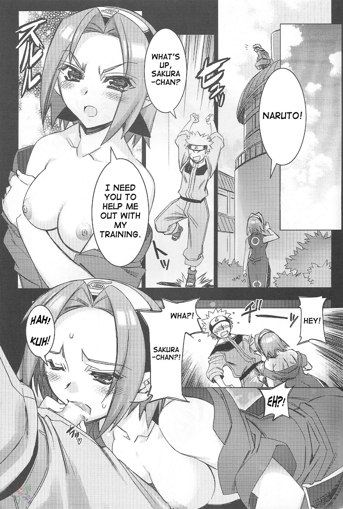 (C68) [かしわ屋 (ひよひよ)] サクラサク平成十七年 (ナルト) [英訳]