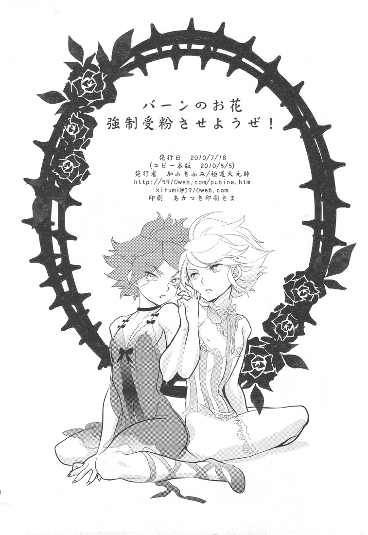 （青春カップ2）【極道大源水（鹿山きふみ）】燃えるおはな協成十文させようぜ！ （イナズマイレブン）