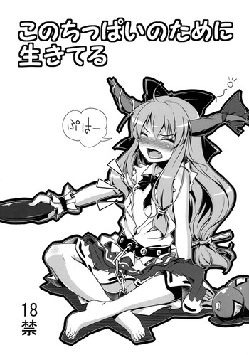 (C77) [ネクロリンサー (きもとかなた)] このちっぱいのために生きてる (東方Project & DARKER THAN BLACK)