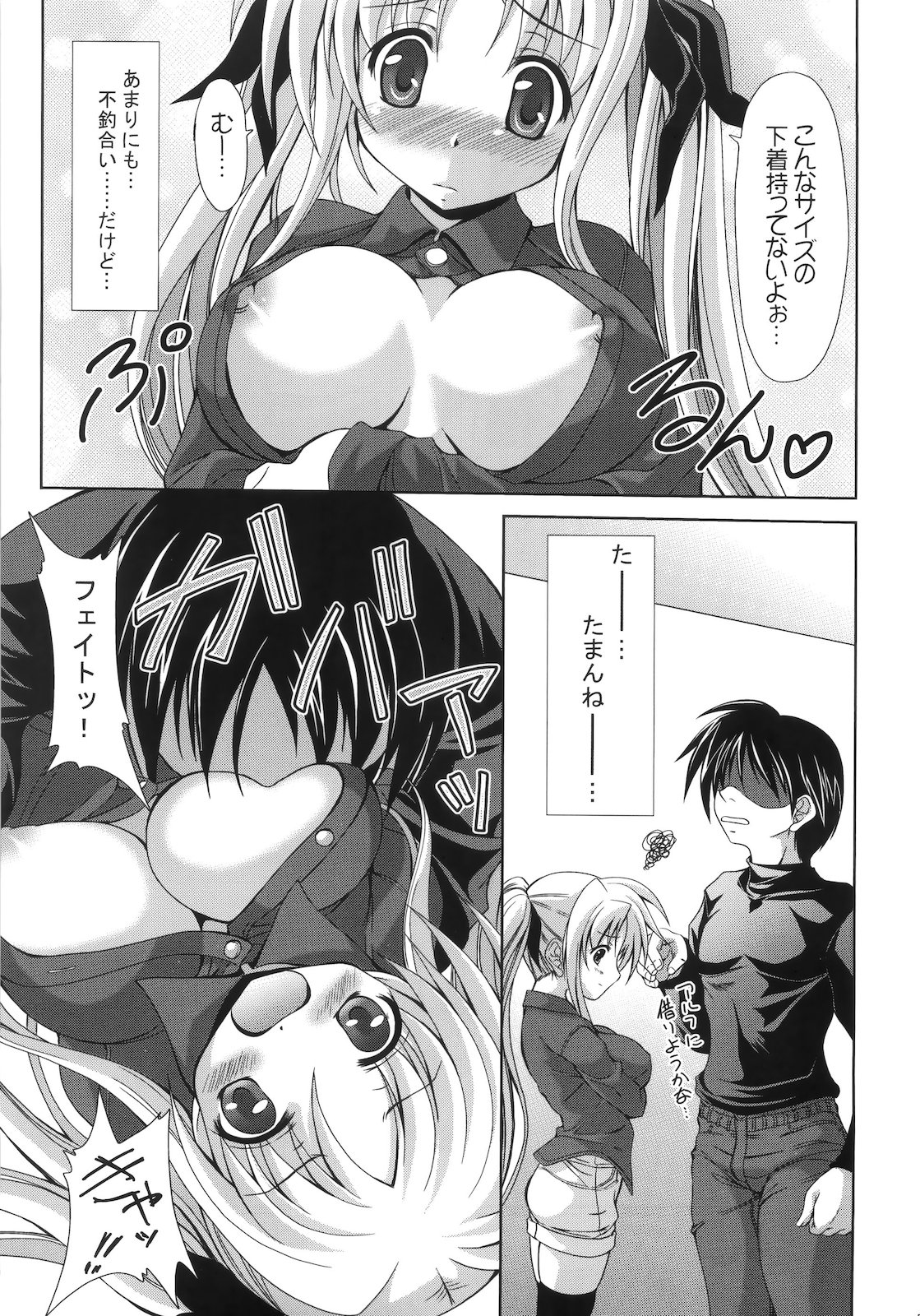 (C79) [FASTEST LAP (MIO)] 大きくなってもフェイトが好きですか? Lost Property9 (魔法少女リリカルなのは)