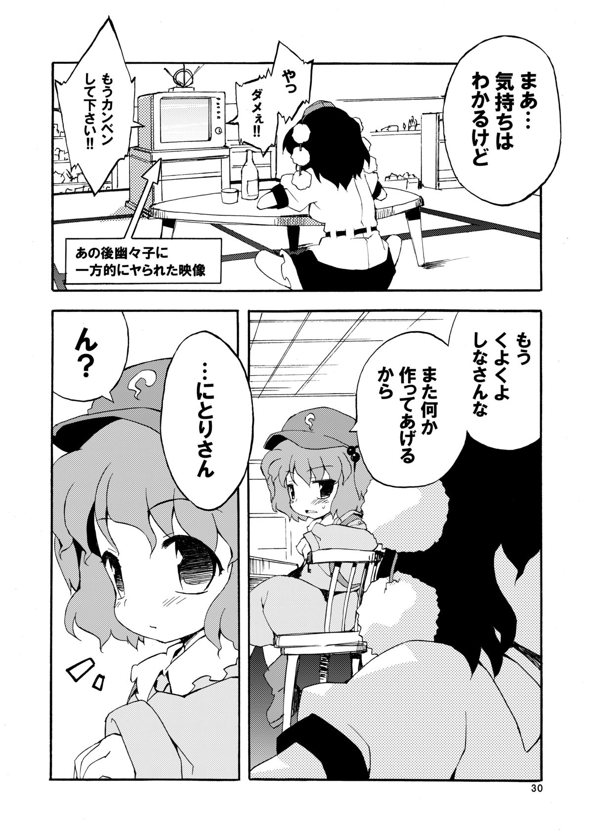 (紅楼夢5) [Dr.VERMILION (ペテン師)] 僅かな玩具の幻想郷 (東方Project)