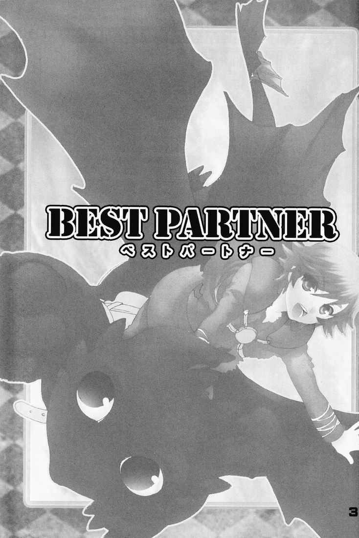 BEST PARTNER 1+2