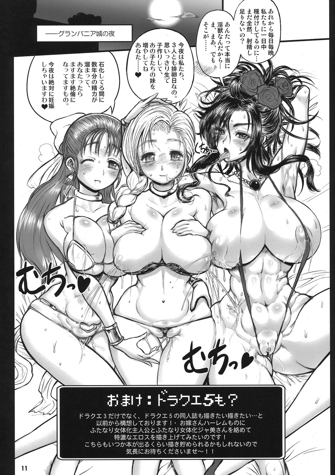(C79) [アルセノテリス (Rebis)] 絶倫勇者と三人のママ ~準備号~ (ドラゴンクエストIII)