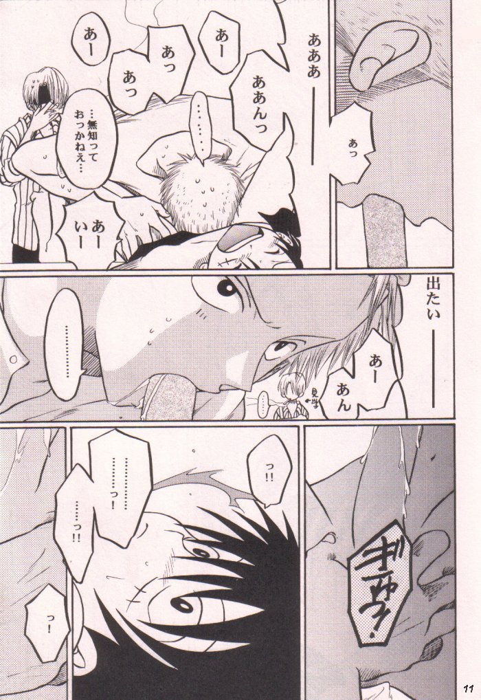 [Tcell (団まどか)] 愛のもぐら (ワンピース)