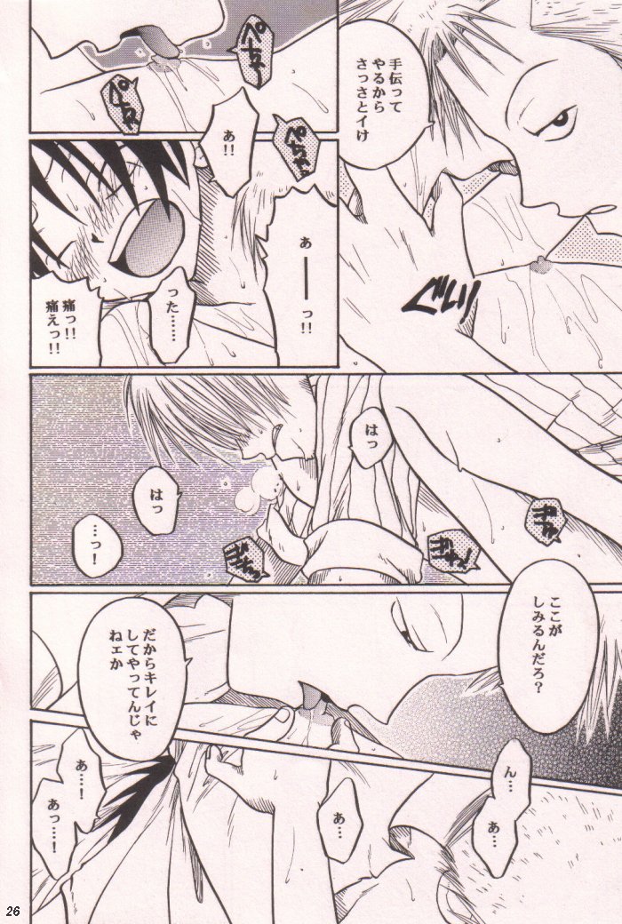 [Tcell (団まどか)] 愛のもぐら (ワンピース)