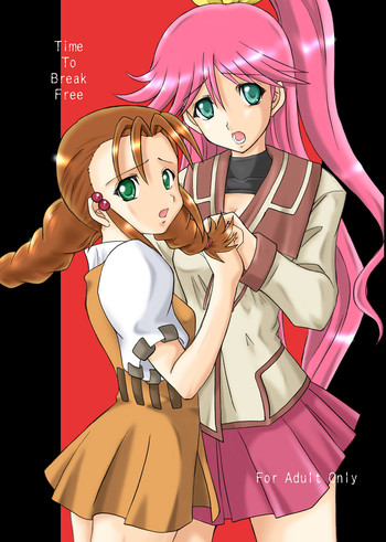 (サンクリ32) [ちらりずむ (飛鷹トヲル)] Time To Break Free (ガン×ソード)