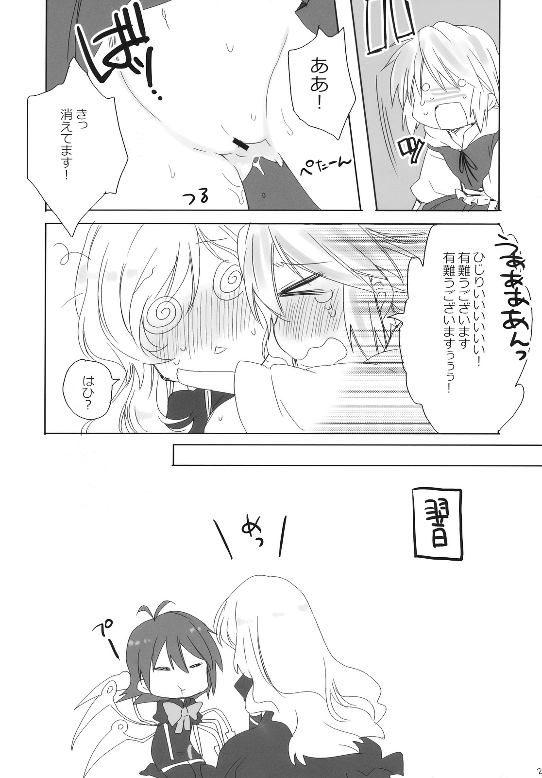 (C78) [Lesport (中山みゆき)] mogmog (東方Project)