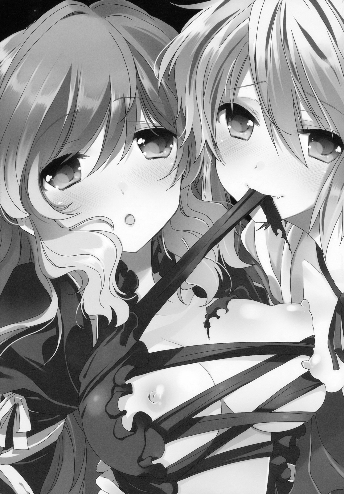 (C78) [Lesport (中山みゆき)] mogmog (東方Project)