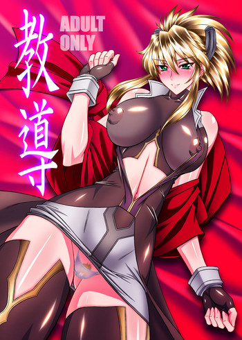 (C78) [BOBCATERS (波紋愛、r13)] 教導 (テイルズ オブ ジ アビス)