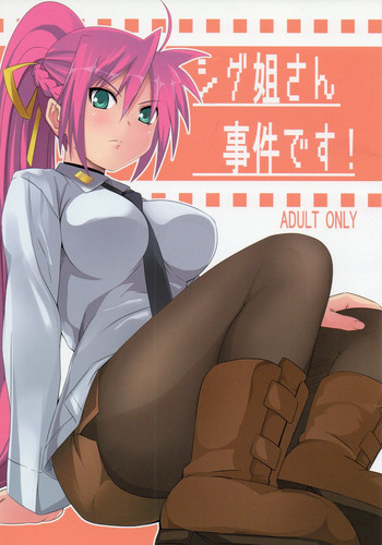 (C75) [千変万化式 (DATE)] シグ姐さん事件です! (魔法少女リリカルなのは) [英訳]