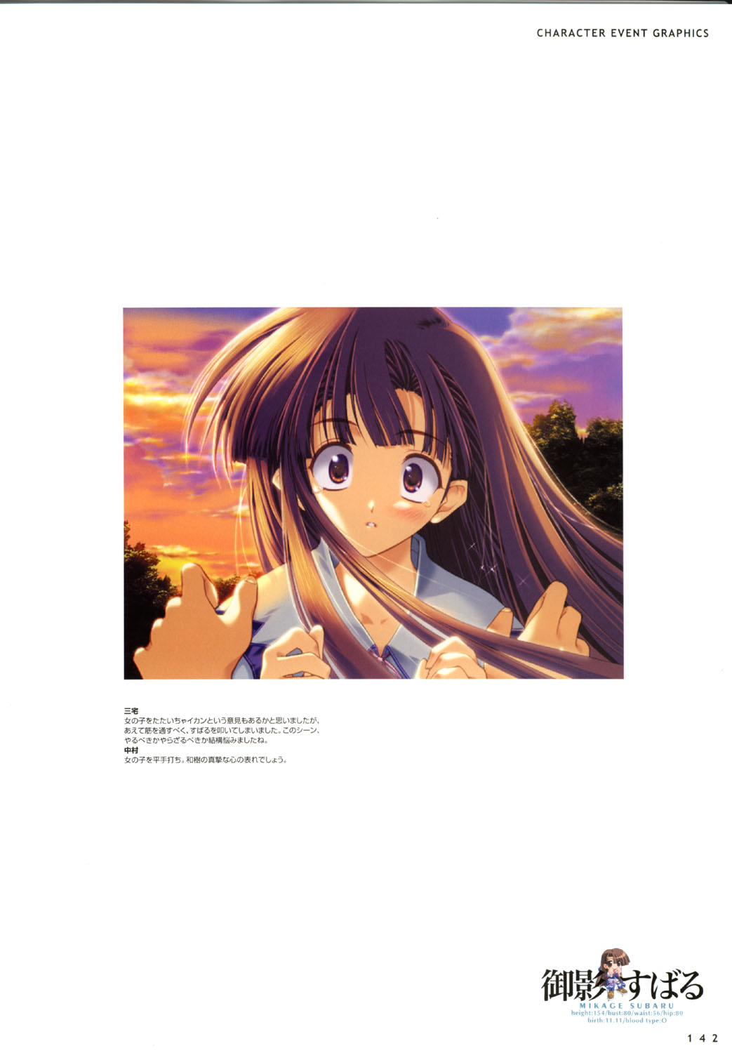 こみっくパーティー ビジュアルファンブック