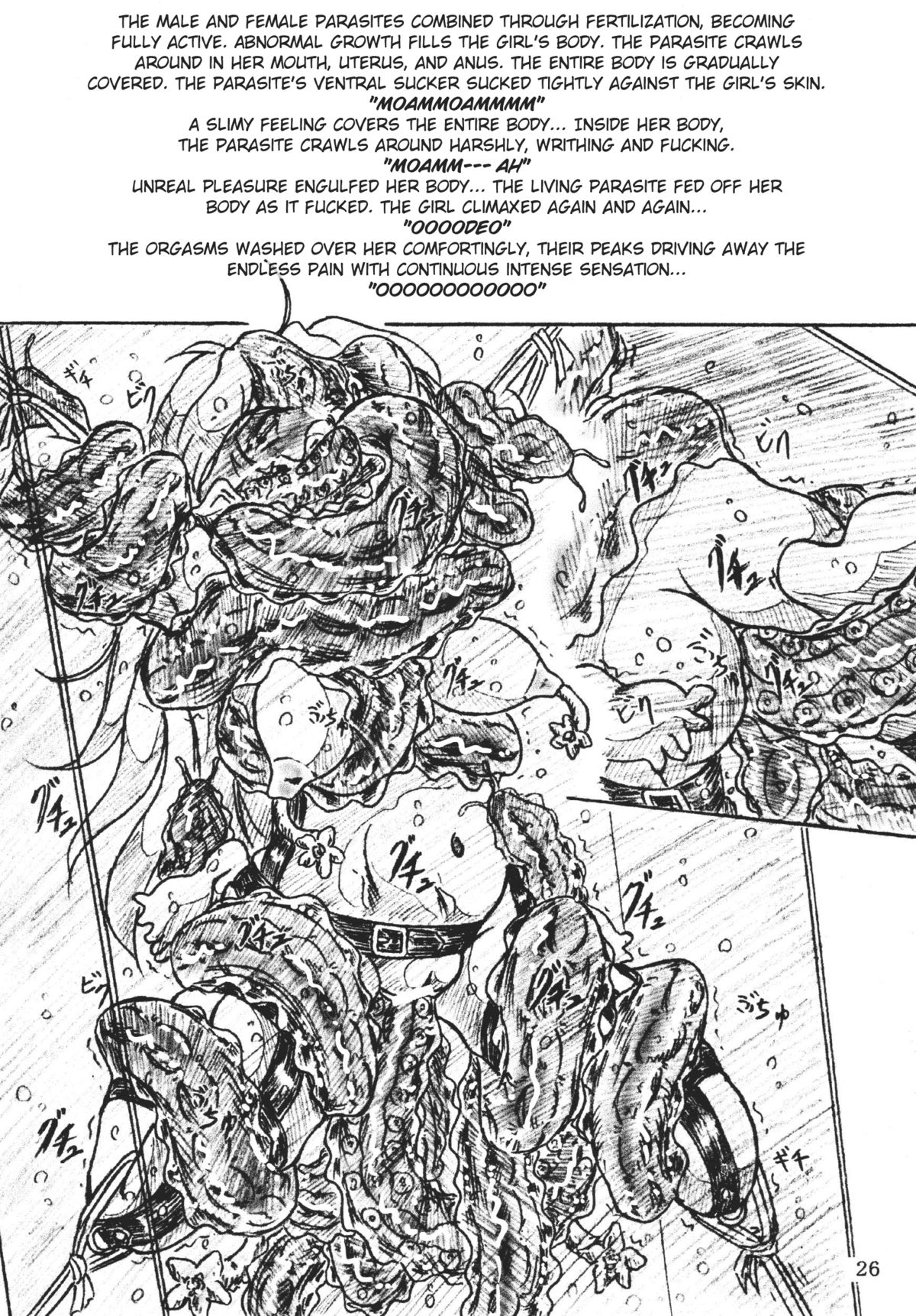 [すもも堂] びびあん別冊 23 [英訳]