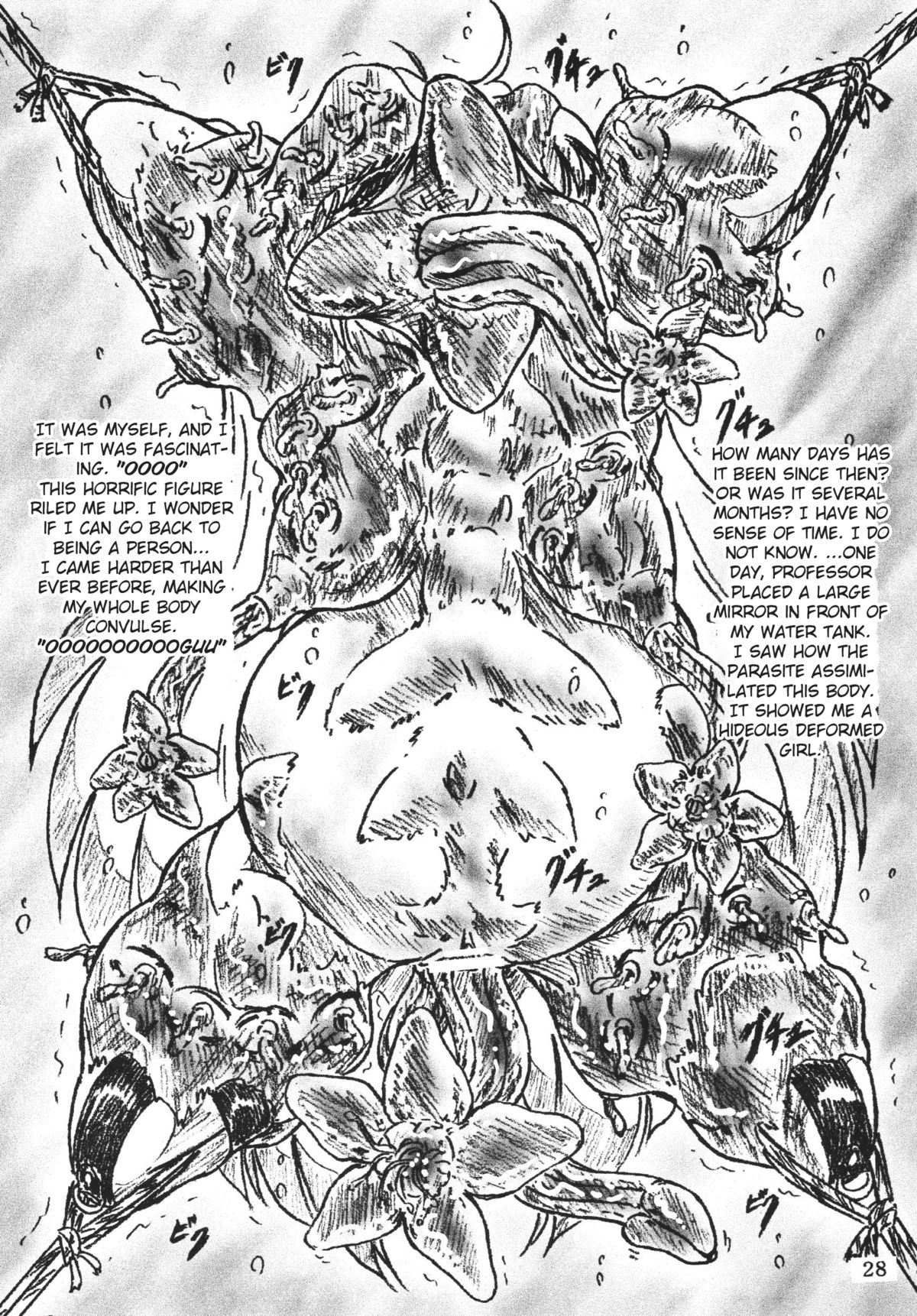 [すもも堂] びびあん別冊 23 [英訳]