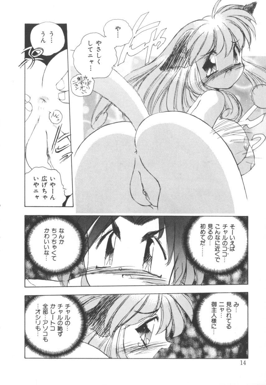 [はりけんはんな] 突然!Cat tale いーえっくす