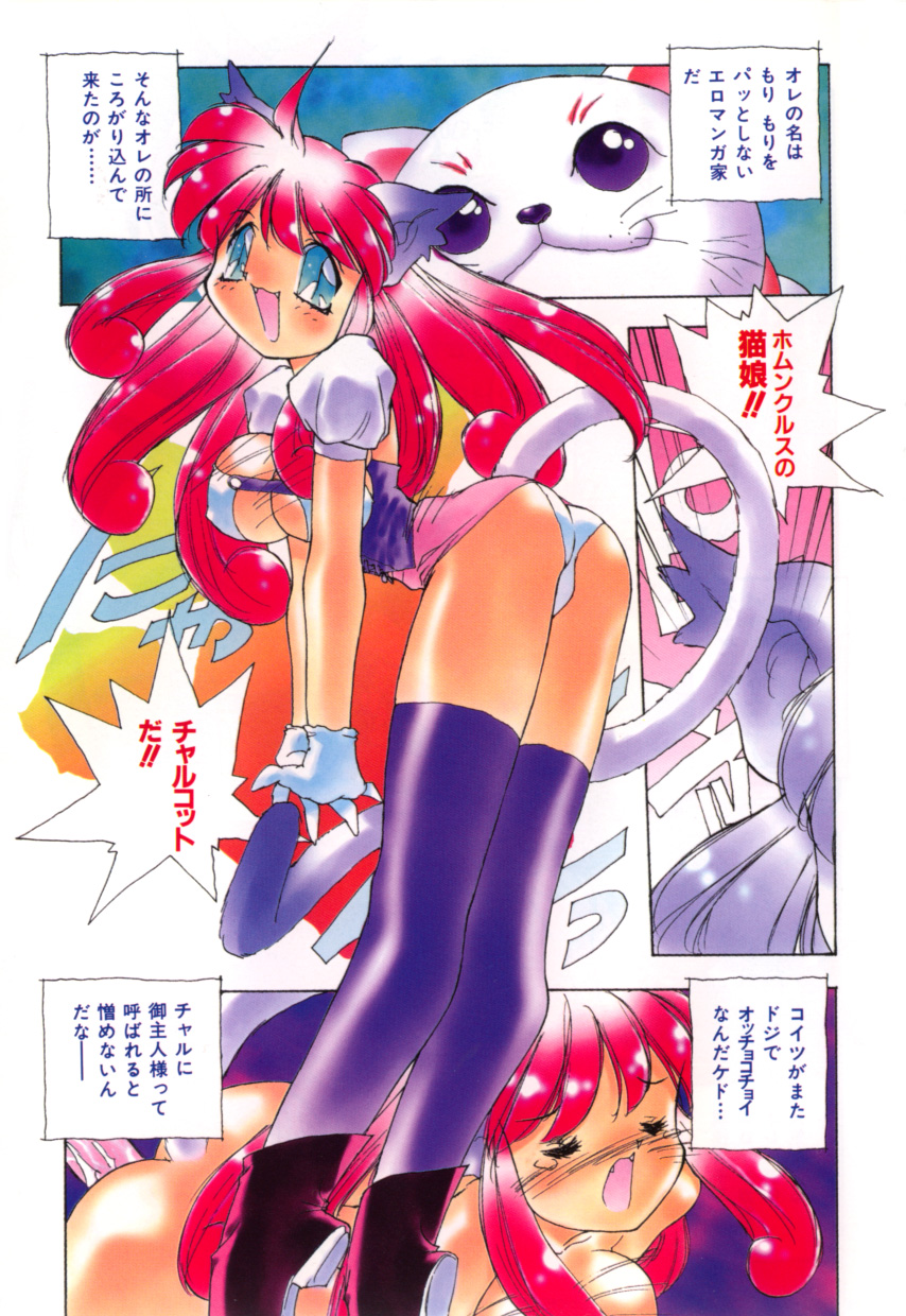 [はりけんはんな] 突然!Cat tale いーえっくす