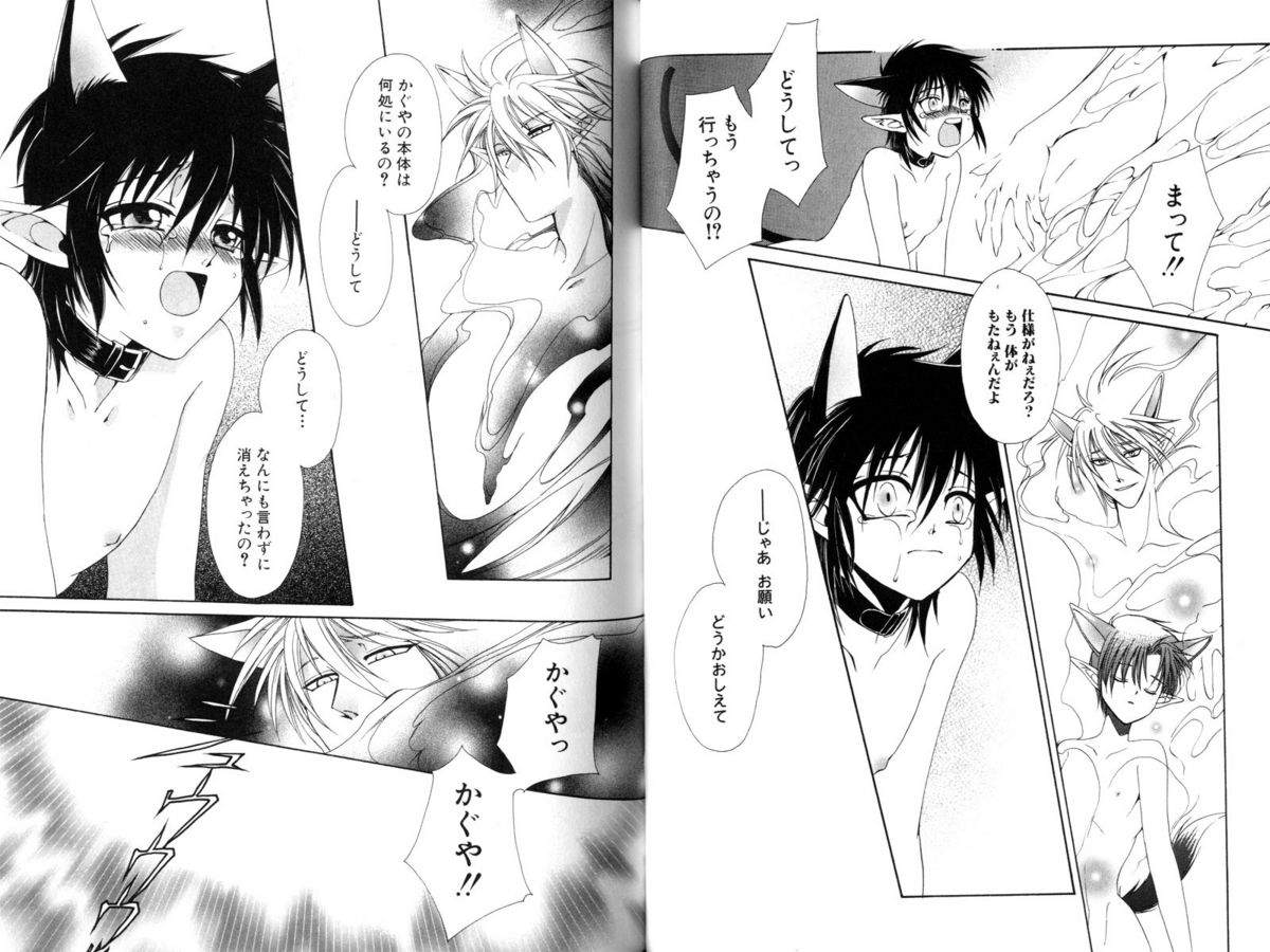 [Dr.天] いと愛し君