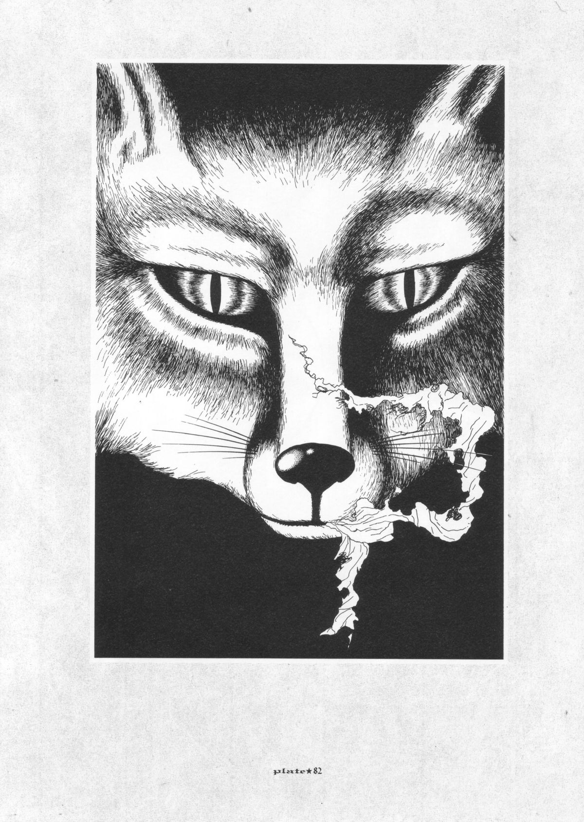 [丸尾末広] 丸尾画報EXI