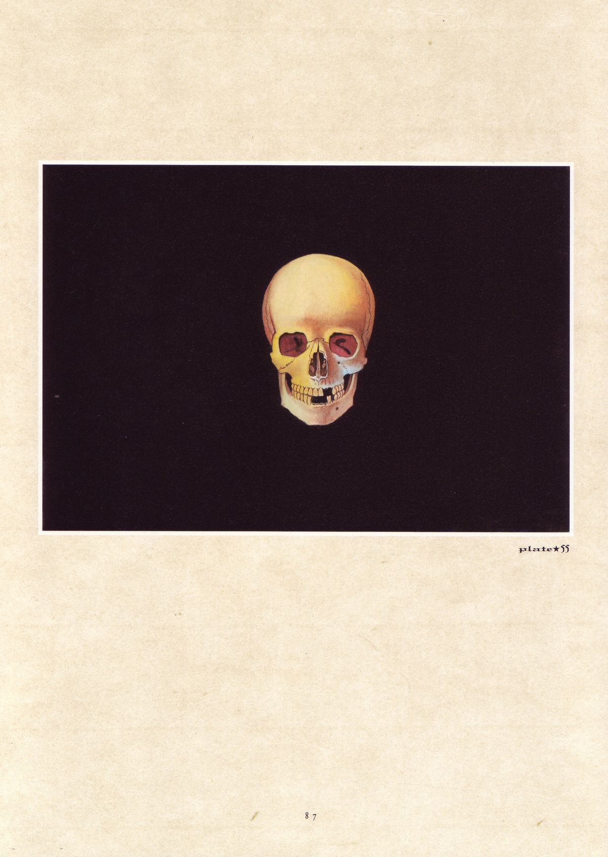 [丸尾末広] 丸尾画報EXI