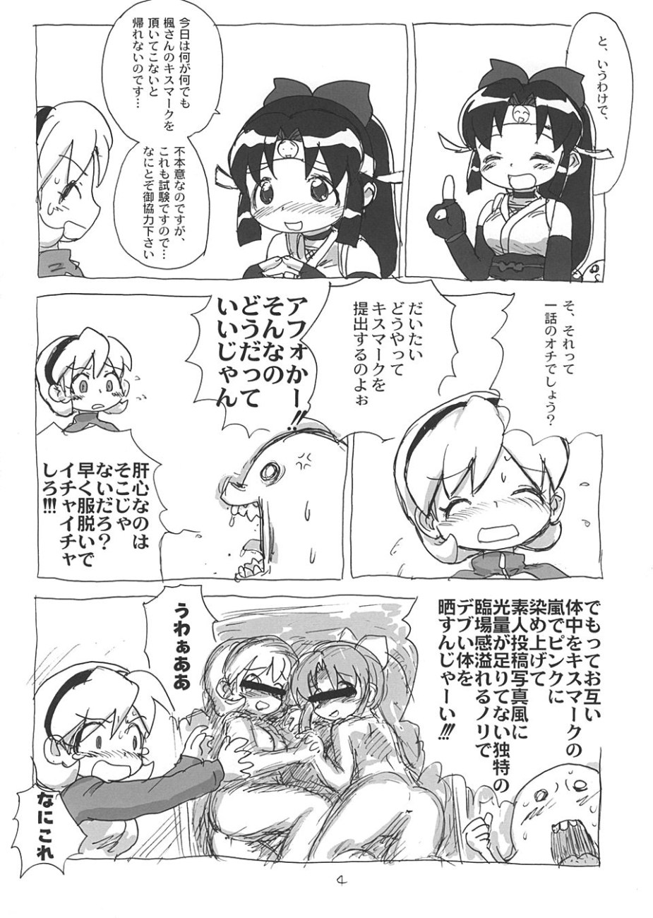 (C66) [酸欠集 (さんずい)] しのぶぶくろ (ニニンがシノブ伝)