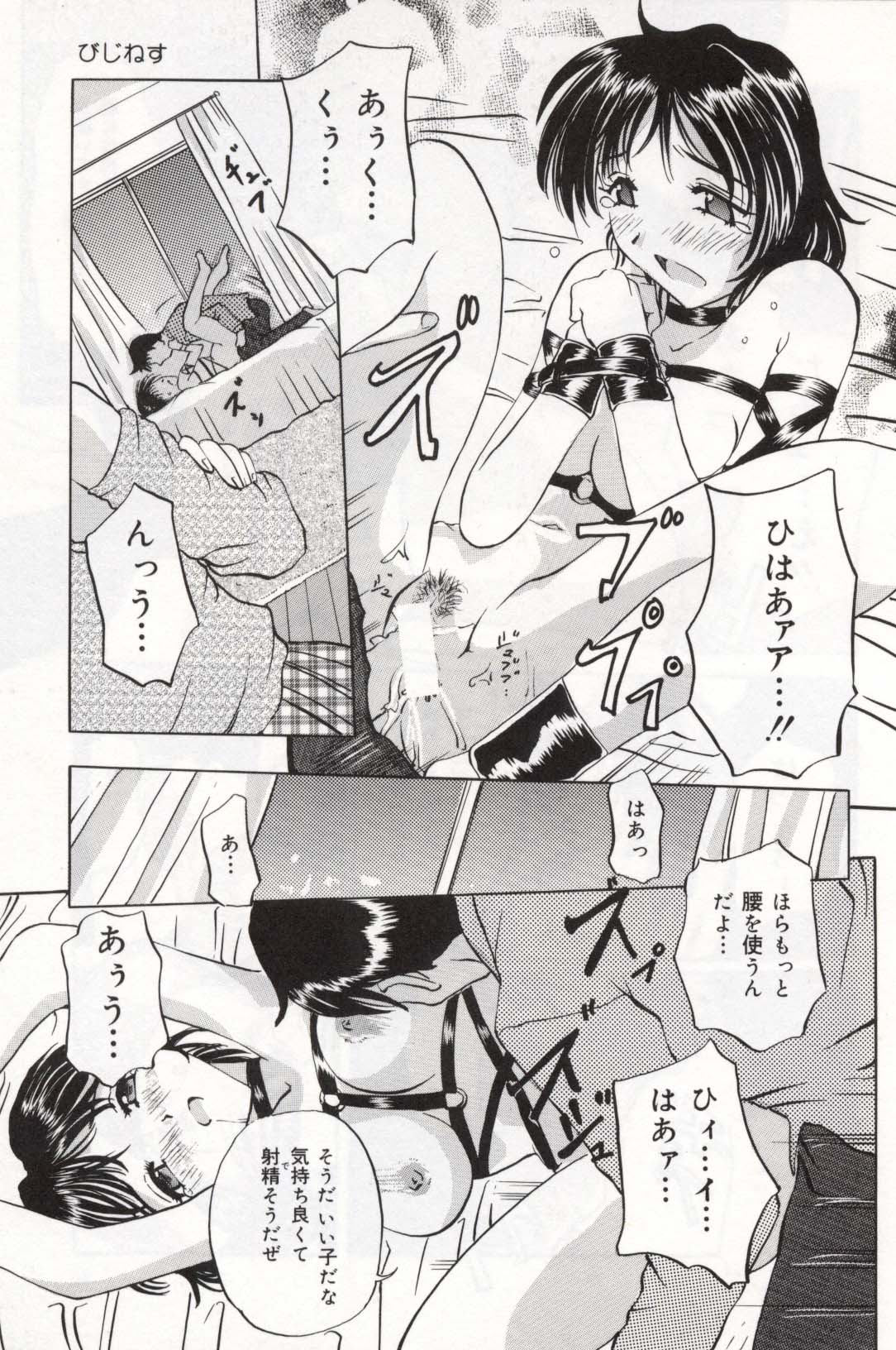 【ペガサス】ペットショップ