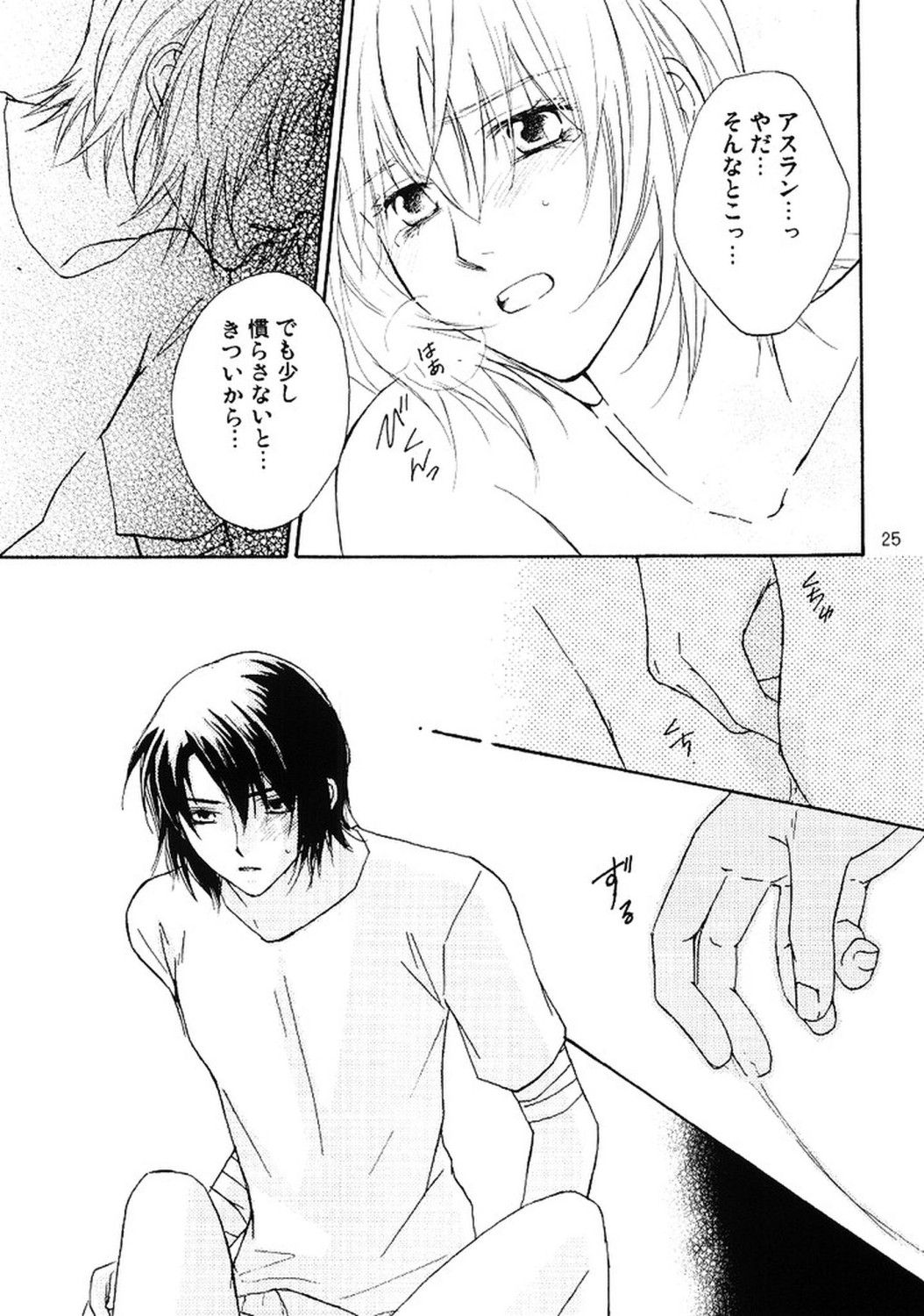 [Berry & Precious] 今宵一夜 (機動戦士ガンダムSEED DESTINY)