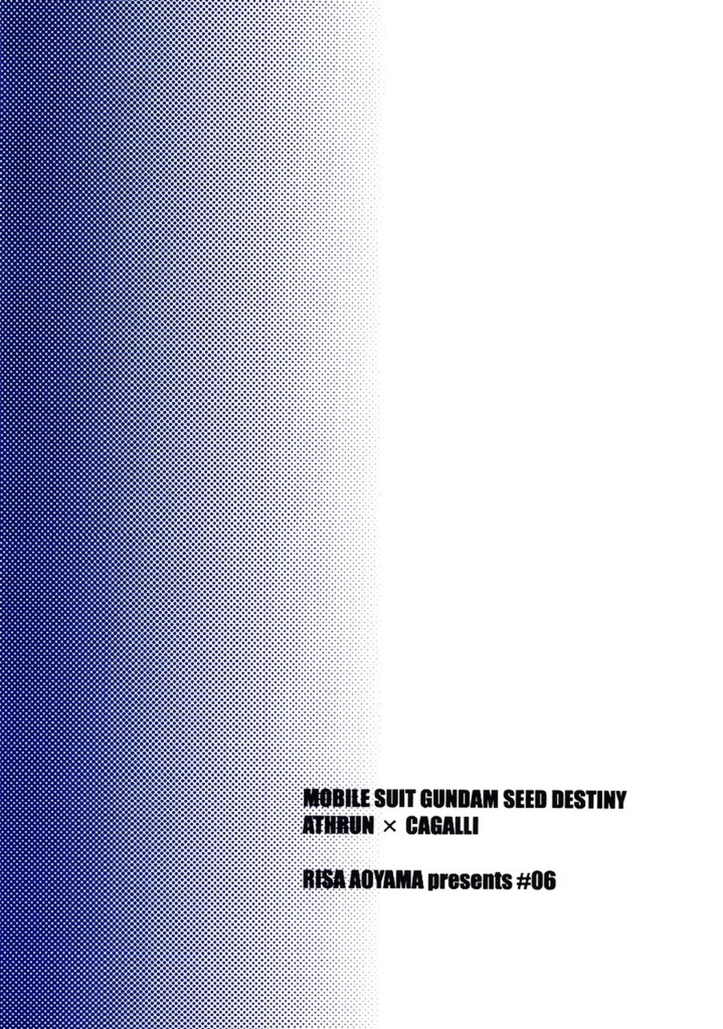 [Berry & Precious] 今宵一夜 (機動戦士ガンダムSEED DESTINY)