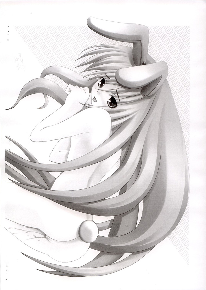 (サンクリ25) [D-くらぶ (D-ALICE)] 東方乱華祭 (東方Project)