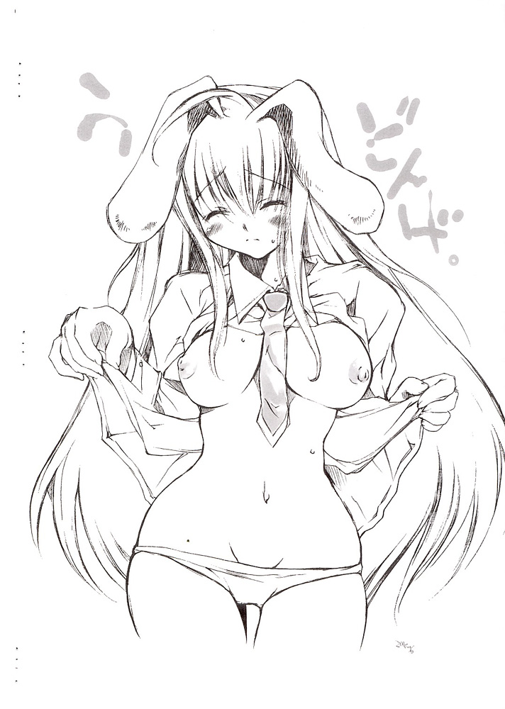 (サンクリ25) [D-くらぶ (D-ALICE)] 東方乱華祭 (東方Project)