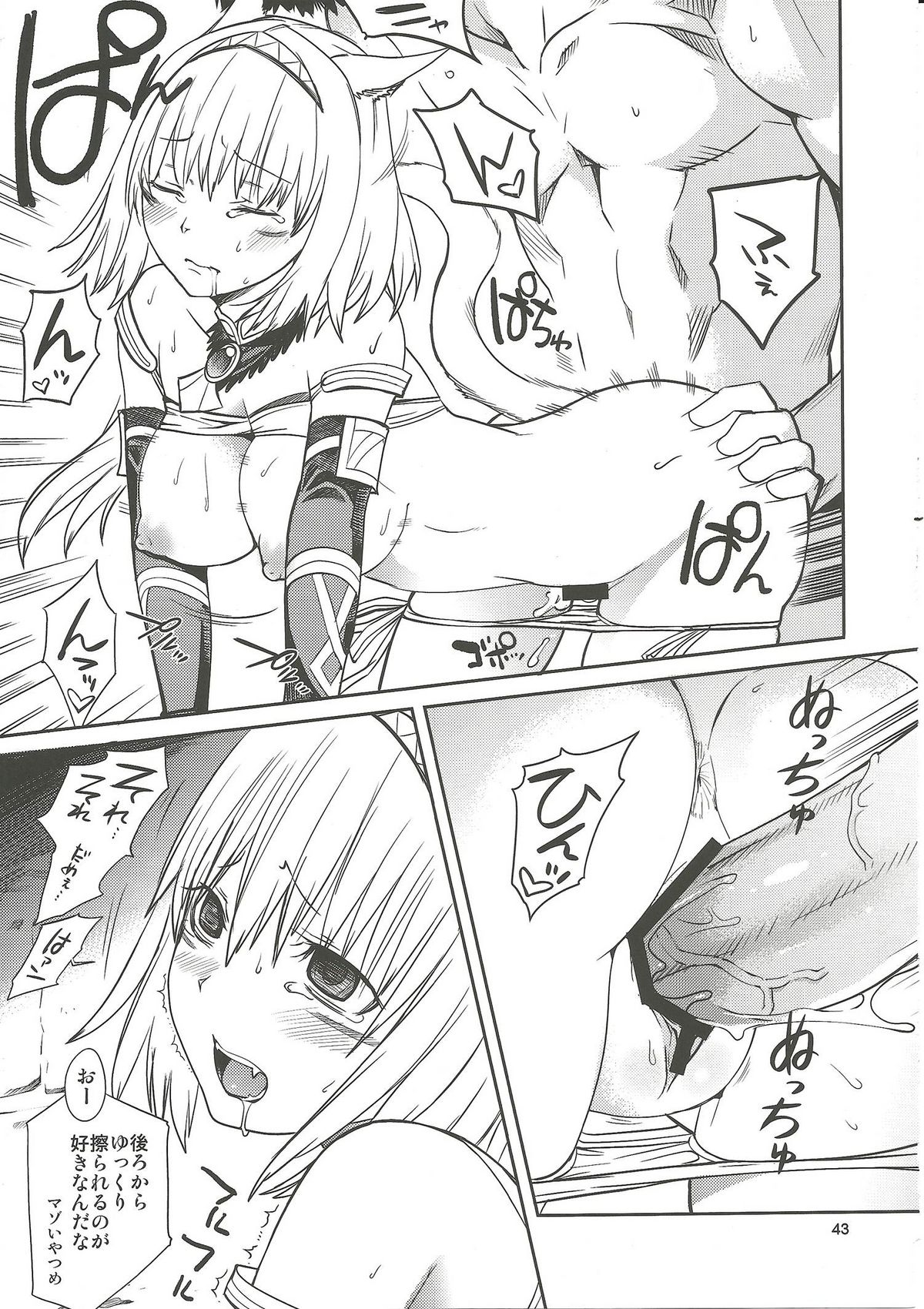 (C76) [ろび～な go round (ろび～な)] ねこのりっ！ (ファイナルファンタジー XI)