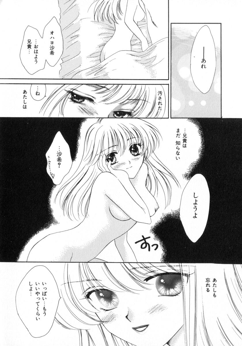 [紫川弓夜] POISON