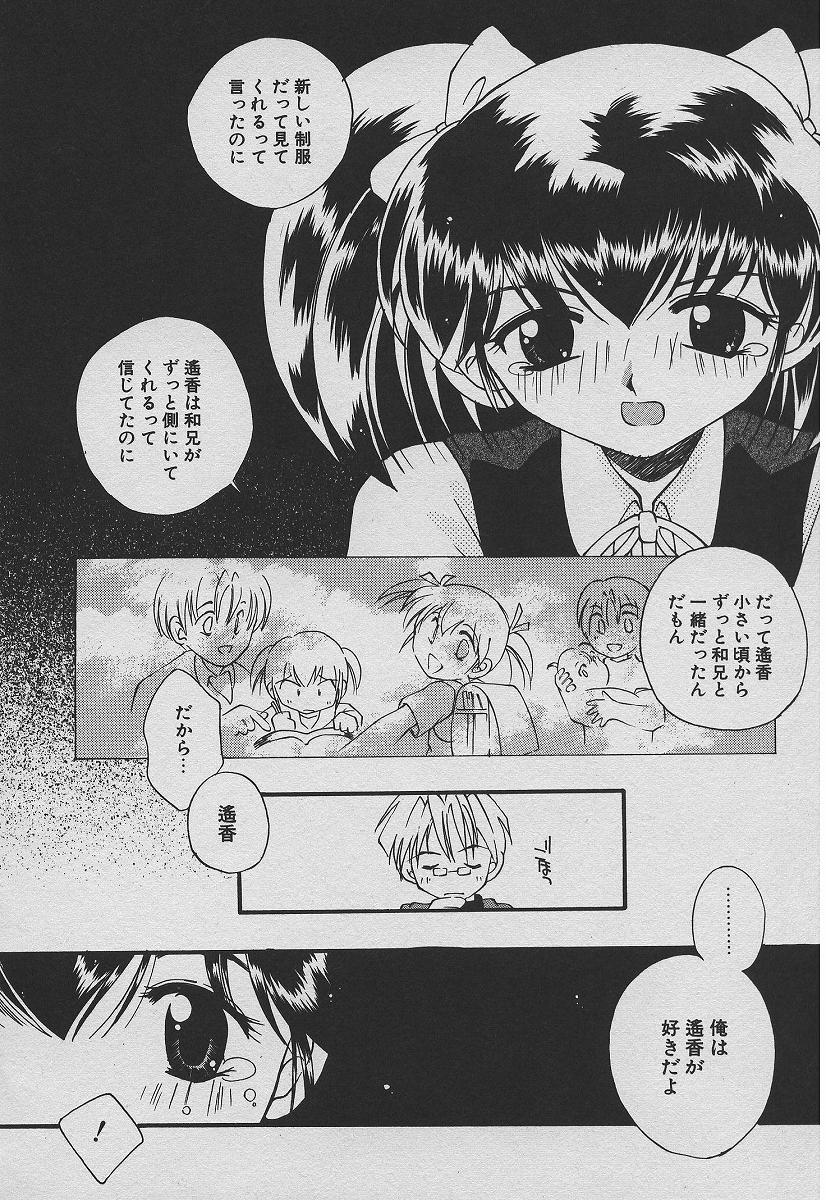 [たかとまたかま] 恋する熱帯魚